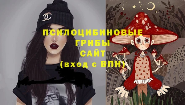 гашик Армянск